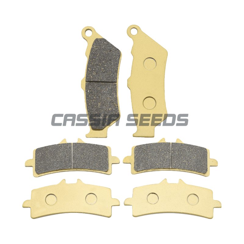 Plaquettes de frein avant et a - Carbon Ceramic Motorcycle Brake Rotor avis et prix