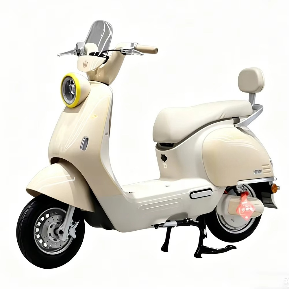 Moto électrique pour adultes E - Brake Disc Motorcycle avis et prix