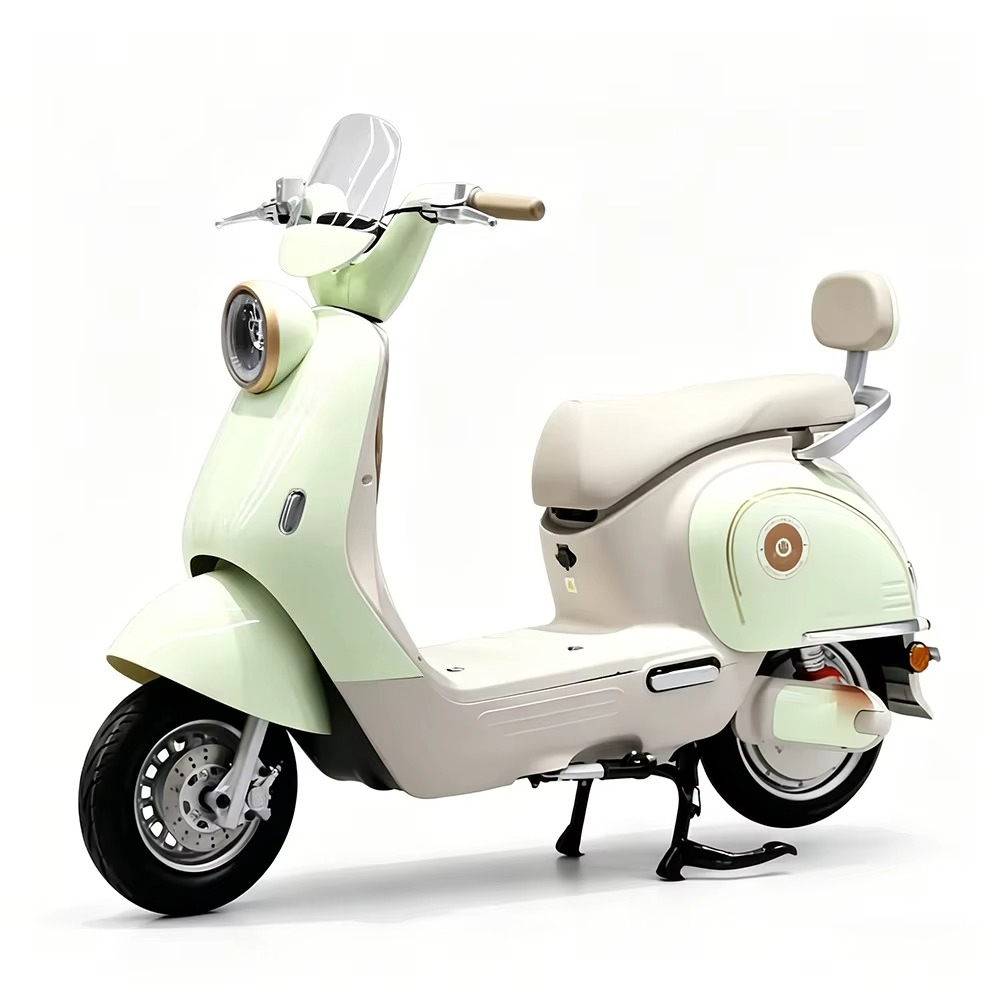 Moto électrique pour adultes E - Brake Disc Motorcycle avis et prix